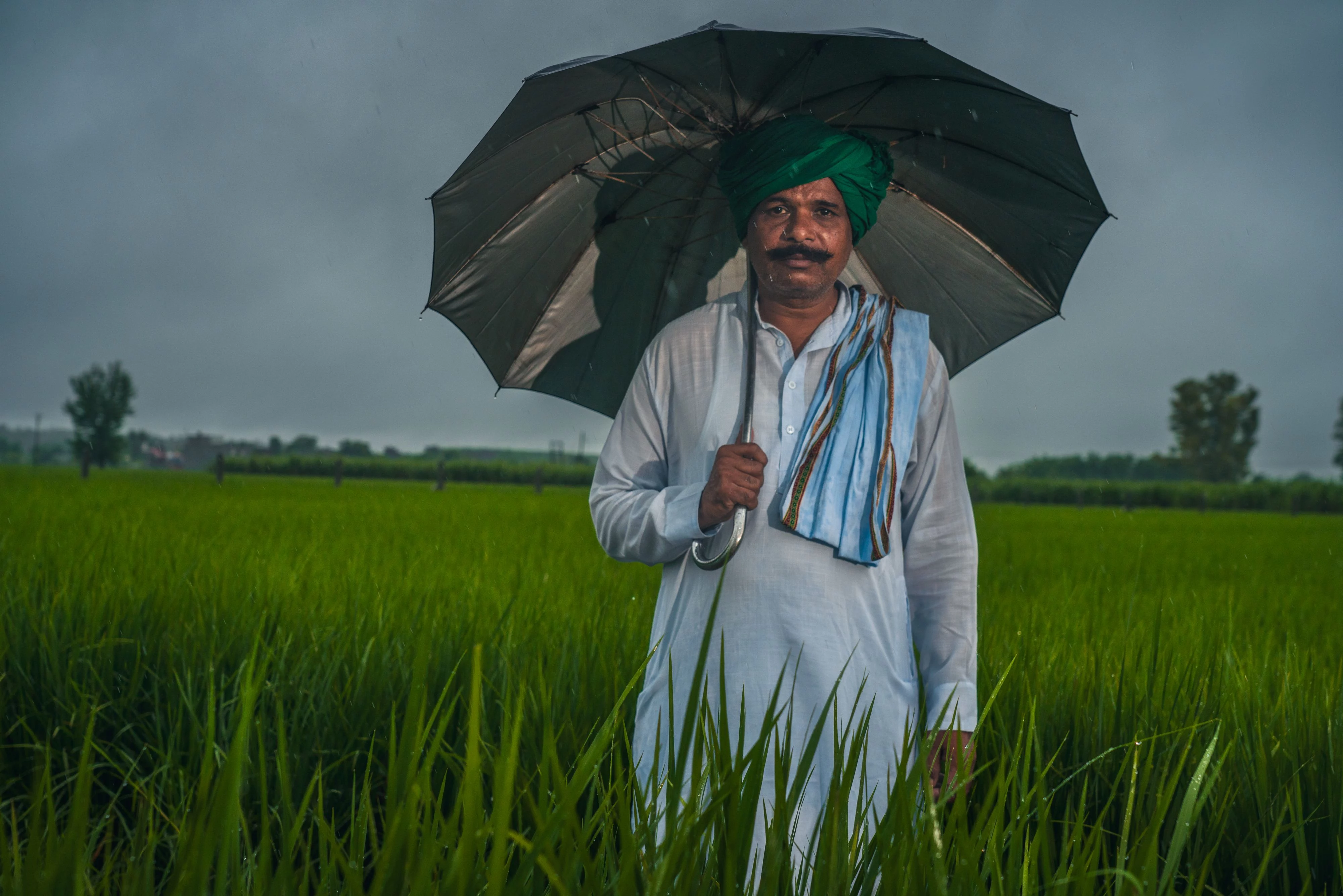 PARWINDER SINGH - FARMER IN HARYANA, INDIA