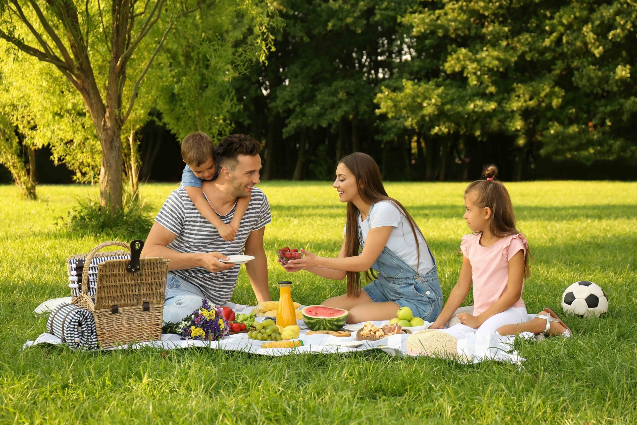 The ultimate picnic guide